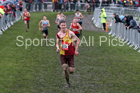 Senior boys 2019 New Balance English Schools Cross Country Champs, Temple Newsam, Leeds. Photo:  David T. Hewitson/Sports for All Pics